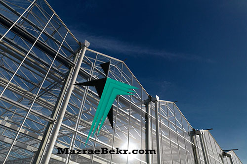 مگلخانه شیشه ای - مزرعه بکر